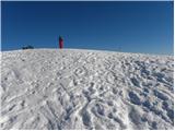 Planina Zajavornik - Mrežce